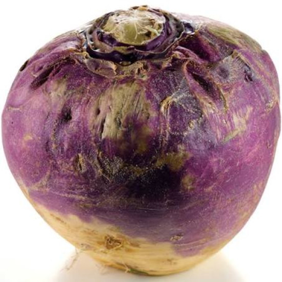 Scottish Swede Turnip